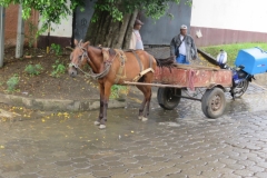 IMG_1839