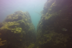 GOPR0196