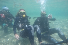 GOPR0223
