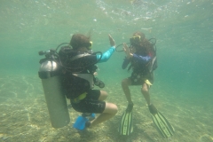 GOPR0232