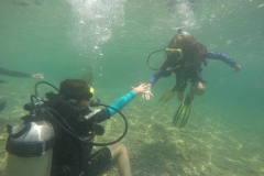 GOPR0234