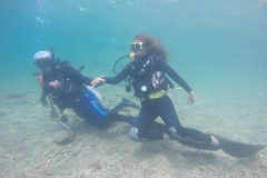 GOPR0241